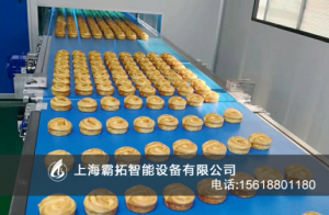 霸拓食品皮帶輸送機