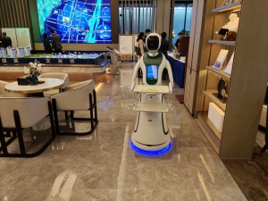 靈動如仙 送餐機器人租賃 人形送餐機器人出租 房地產活動送餐機器人 舞臺活動頒獎機器人送餐