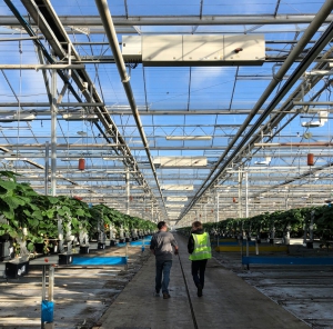 TORTUGAAG農業解決方案
