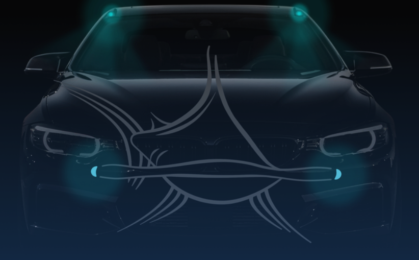 Hammerhead