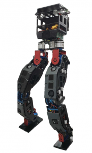 人形機(jī)器人 RoK-3